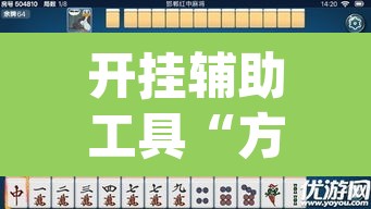 开挂辅助工具“方片十三张辅助器	”(透视挂)辅助透视教程