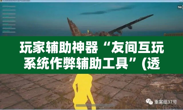 玩家辅助神器“友间互玩系统作弊辅助工具”(透视)其实确实有挂