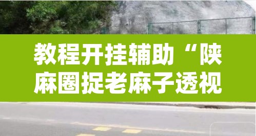 教程开挂辅助“陕麻圈捉老麻子透视	”(透视)其实确实有挂