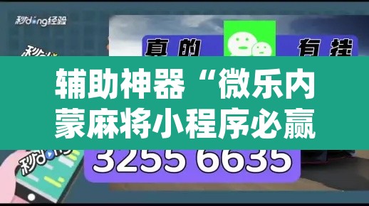 辅助神器“微乐内蒙麻将小程序必赢神器免费安装	”(透视)其实确实有挂