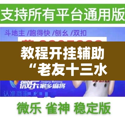 教程开挂辅助“老友十三水能不能调胜率 ”附辅助神器开挂脚本详细步骤
