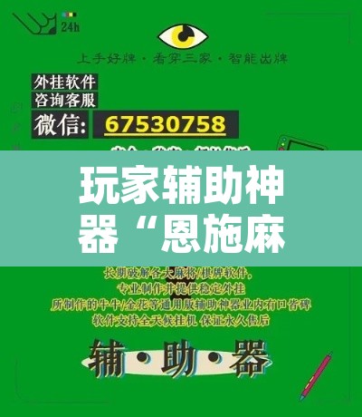 玩家辅助神器“恩施麻将有没有挂	”其实确实有挂