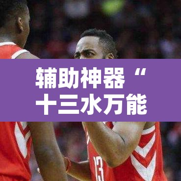 辅助神器“十三水万能辅助器”其实确实有挂