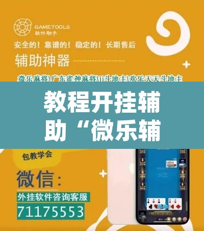 教程开挂辅助“微乐辅助器最新免费版	”(透视挂)辅助透视教程