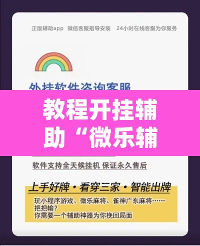 教程开挂辅助“微乐辅助器最新免费版”(透视挂)辅助透视教程