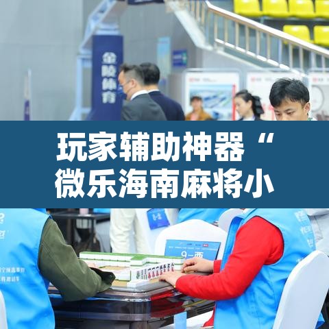 玩家辅助神器“微乐海南麻将小程序必赢神器	”附辅助神器开挂脚本详细步骤