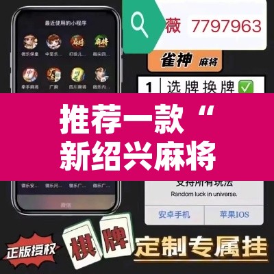推荐一款“新绍兴麻将可以开挂吗”开挂辅助脚本+详细开挂安装教程