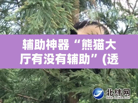 辅助神器“熊猫大厅有没有辅助”(透视)其实确实有挂