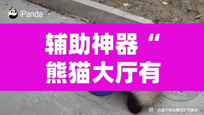 辅助神器“熊猫大厅有没有辅助	”(透视)其实确实有挂