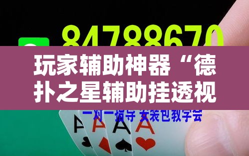 玩家辅助神器“德扑之星辅助挂透视教程	”开挂辅助脚本+详细开挂安装教程