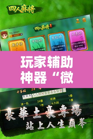 玩家辅助神器“微乐广西麻将开挂神器”开挂辅助脚本+详细开挂安装教程