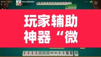 玩家辅助神器“微乐广西麻将开挂神器”开挂辅助脚本+详细开挂安装教程