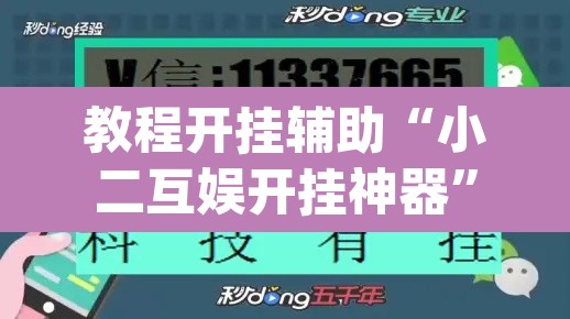教程开挂辅助“小二互娱开挂神器”(透视)其实确实有挂