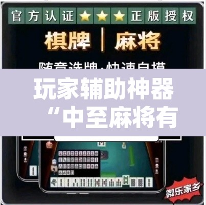 玩家辅助神器“中至麻将有挂的吗	”(透视挂)辅助透视教程