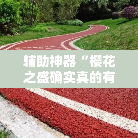 辅助神器“樱花之盛确实真的有挂”(透视)其实确实有挂