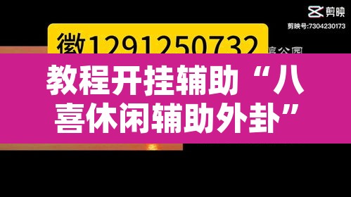 教程开挂辅助“八喜休闲辅助外卦”其实确实有挂