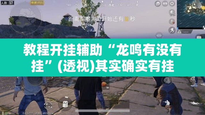 教程开挂辅助“龙鸣有没有挂”(透视)其实确实有挂
