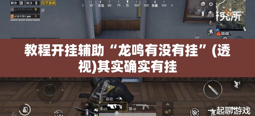 教程开挂辅助“龙鸣有没有挂”(透视)其实确实有挂