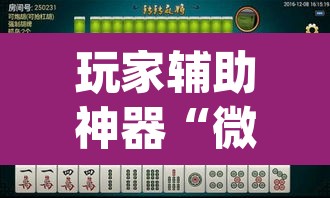 玩家辅助神器“微乐湖南麻将赢牌规律是啥”(透视)其实确实有挂