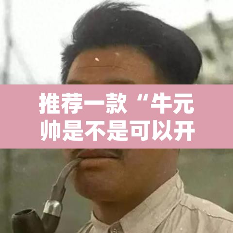 推荐一款“牛元帅是不是可以开挂”(透视)其实确实有挂