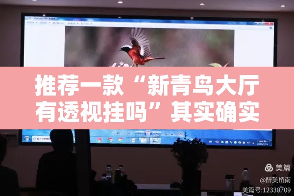 推荐一款“新青鸟大厅有透视挂吗”其实确实有挂