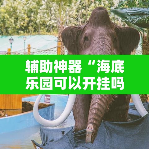 辅助神器“海底乐园可以开挂吗”开挂辅助脚本+详细开挂安装教程