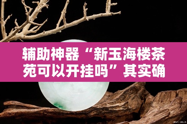 辅助神器“新玉海楼茶苑可以开挂吗”其实确实有挂