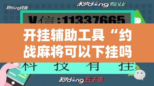 开挂辅助工具“约战麻将可以下挂吗”(透视)其实确实有挂