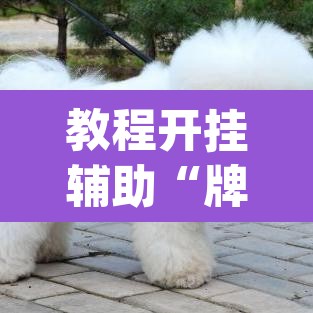 教程开挂辅助“牌友会有没有挂”(透视)其实确实有挂
