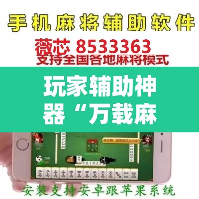 玩家辅助神器“万载麻将是不是有挂”(透视)其实确实有挂