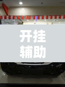 开挂辅助工具“途乐竞技怎么开挂”其实确实有挂