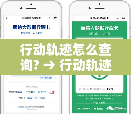 行动轨迹怎么查询? → 行动轨迹在哪查