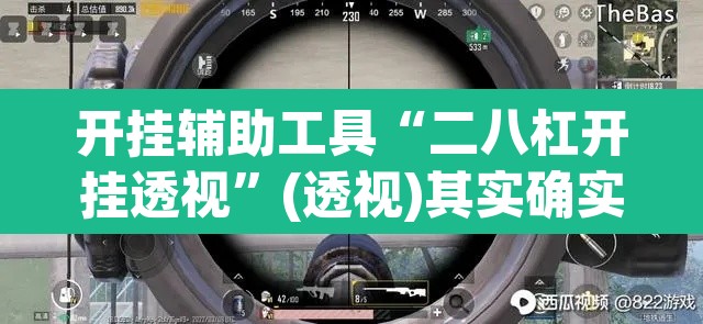 开挂辅助工具“二八杠开挂透视	”(透视)其实确实有挂