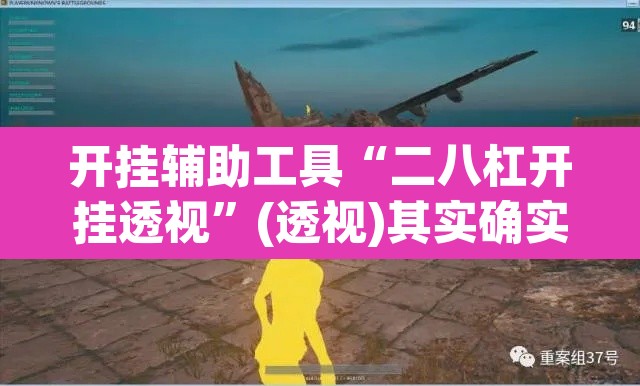 开挂辅助工具“二八杠开挂透视	”(透视)其实确实有挂