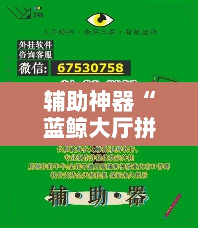 辅助神器“蓝鲸大厅拼三张透视辅助软件”附辅助神器开挂脚本详细步骤