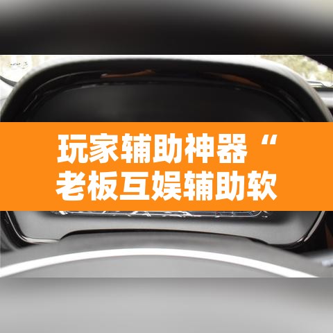玩家辅助神器“老板互娱辅助软件下载”其实确实有挂