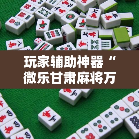 玩家辅助神器“微乐甘肃麻将万能开挂器”(透视挂)辅助透视教程