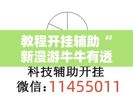 教程开挂辅助“新漫游牛牛有透视软件吗”其实确实有挂