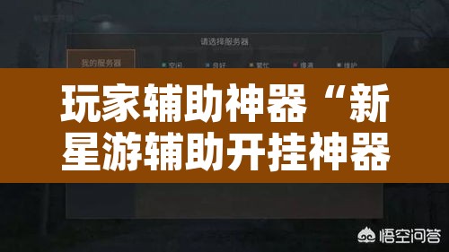 玩家辅助神器“新星游辅助开挂神器”其实确实有挂