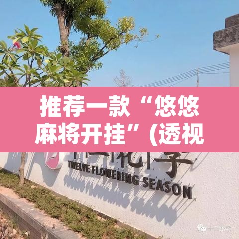 推荐一款“悠悠麻将开挂”(透视)其实确实有挂