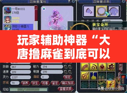 玩家辅助神器“大唐撸麻雀到底可以开挂吗	”其实确实有挂