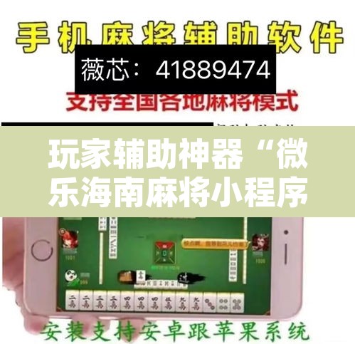 玩家辅助神器“微乐海南麻将小程序怎么开挂”其实确实有挂