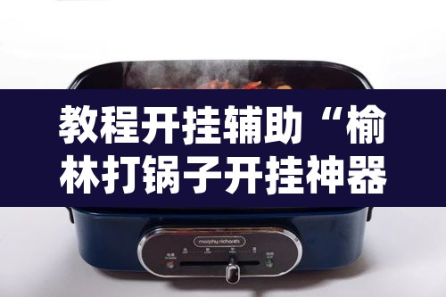教程开挂辅助“榆林打锅子开挂神器下载”(透视)其实确实有挂