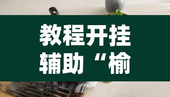 教程开挂辅助“榆林打锅子开挂神器下载”(透视)其实确实有挂