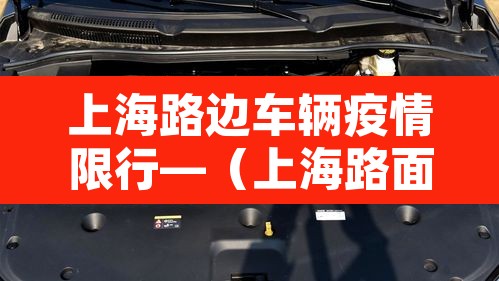 上海路边车辆疫情限行—（上海路面限行吗）