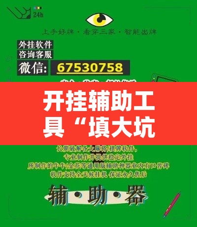 开挂辅助工具“填大坑万能开挂器”其实确实有挂