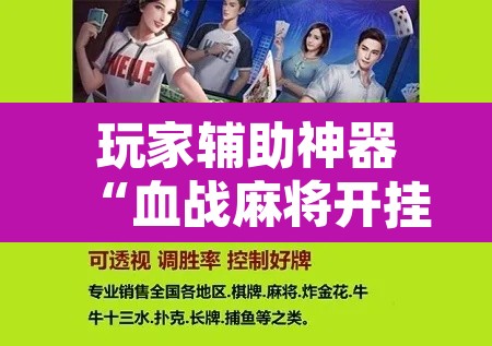 玩家辅助神器“血战麻将开挂神器下载”附辅助神器开挂脚本详细步骤