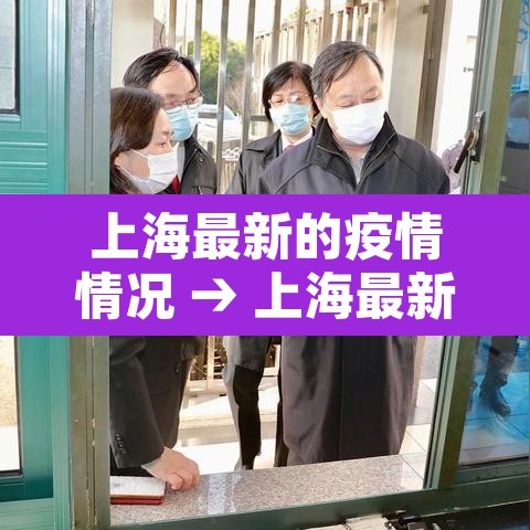 上海最新的疫情情况 → 上海最新的疫情情况如何 上海最新的疫情情况 → 上海最新的疫情情况如何