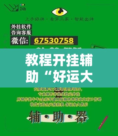 教程开挂辅助“好运大菠萝辅助软件”(透视挂)辅助透视教程