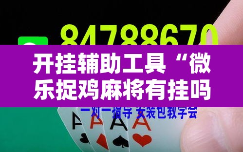 开挂辅助工具“微乐捉鸡麻将有挂吗”其实确实有挂